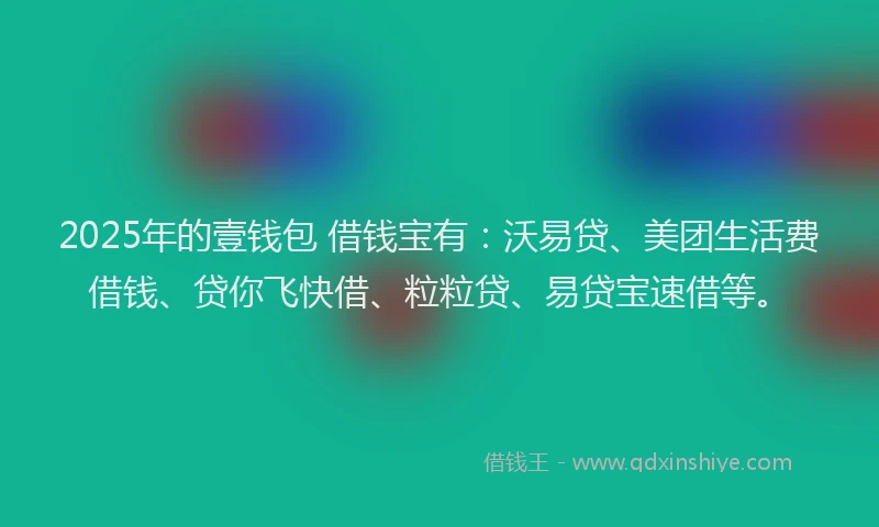 2025年的壹钱包 借钱宝有：沃易贷、美团生活费借钱、贷你飞快借、粒粒贷、易贷宝速借等。