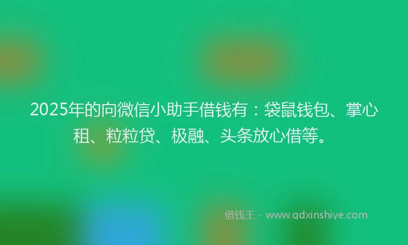 2025年的向微信小助手借钱有：袋鼠钱包、掌心租、粒粒贷、极融、头条放心借等。