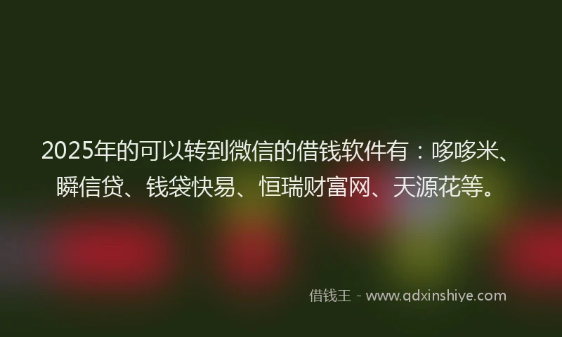 2025年的可以转到微信的借钱软件有：哆哆米、瞬信贷、钱袋快易、恒瑞财富网、天源花等。