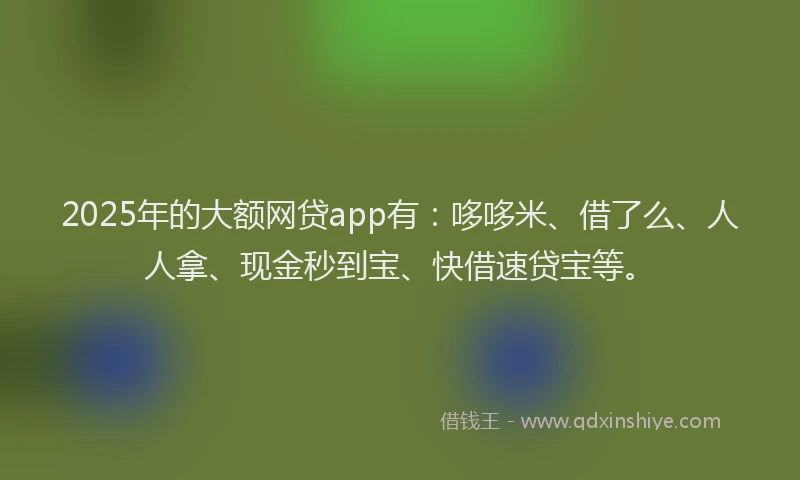 2025年的大额网贷app有：哆哆米、借了么、人人拿、现金秒到宝、快借速贷宝等。