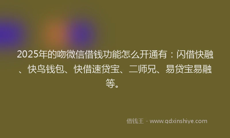 2025年的吻微信借钱功能怎么开通有：闪借快融、快鸟钱包、快借速贷宝、二师兄、易贷宝易融等。