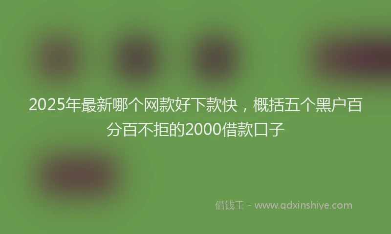 2025年最新哪个网款好下款快，概括五个黑户百分百不拒的2000借款口子