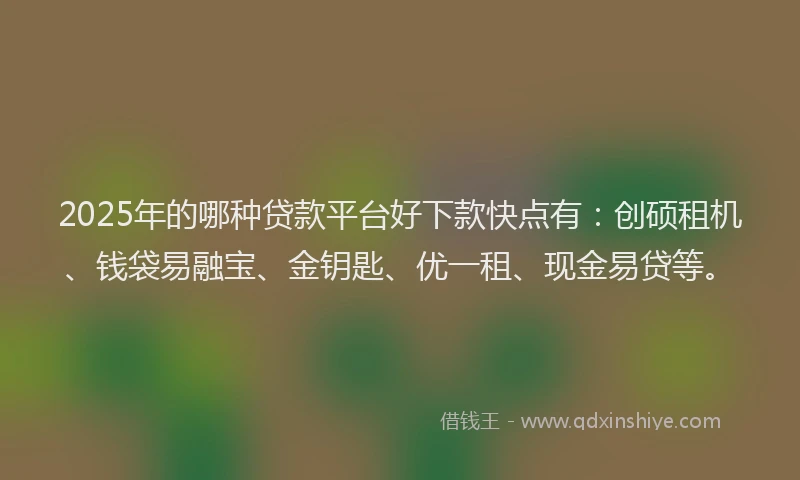 2025年的哪种贷款平台好下款快点有：创硕租机、钱袋易融宝、金钥匙、优一租、现金易贷等。