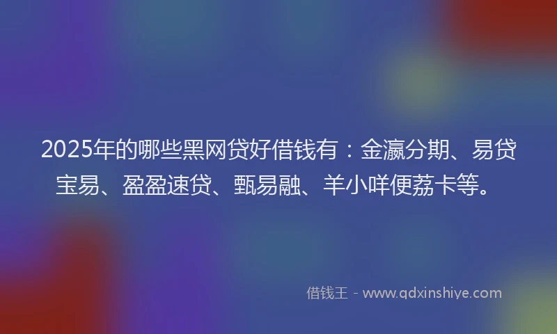 2025年的哪些黑网贷好借钱有：金瀛分期、易贷宝易、盈盈速贷、甄易融、羊小咩便荔卡等。