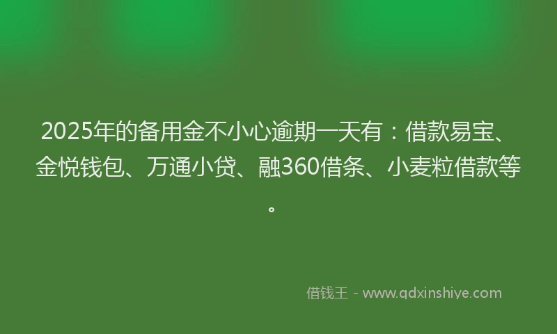 2025年的备用金不小心逾期一天有：借款易宝、金悦钱包、万通小贷、融360借条、小麦粒借款等。
