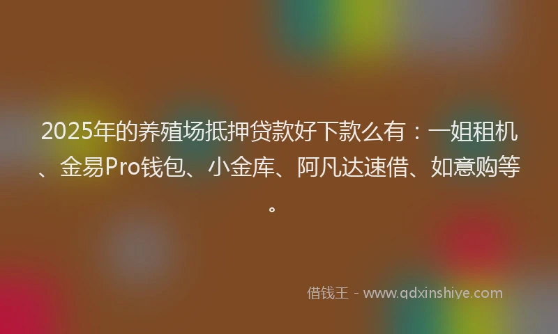 2025年的养殖场抵押贷款好下款么有：一姐租机、金易Pro钱包、小金库、阿凡达速借、如意购等。