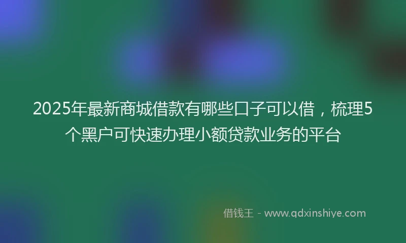 2025年最新商城借款有哪些口子可以借，梳理5个黑户可快速办理小额贷款业务的平台