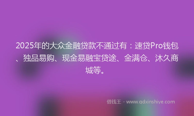2025年的大众金融贷款不通过有：速贷Pro钱包、独品易购、现金易融宝贷途、金满仓、沐久商城等。