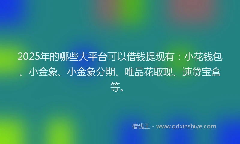 2025年的哪些大平台可以借钱提现有：小花钱包、小金象、小金象分期、唯品花取现、速贷宝盒等。
