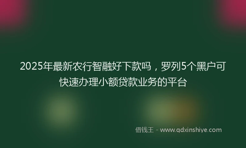 2025年最新农行智融好下款吗，罗列5个黑户可快速办理小额贷款业务的平台
