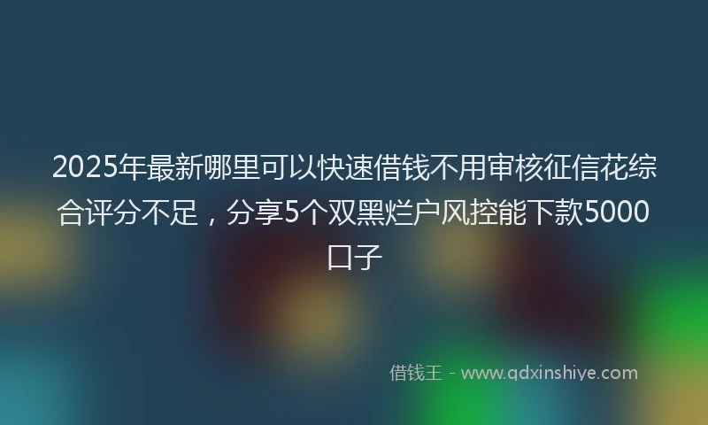 2025年最新哪里可以快速借钱不用审核征信花综合评分不足，分享5个双黑烂户风控能下款5000口子