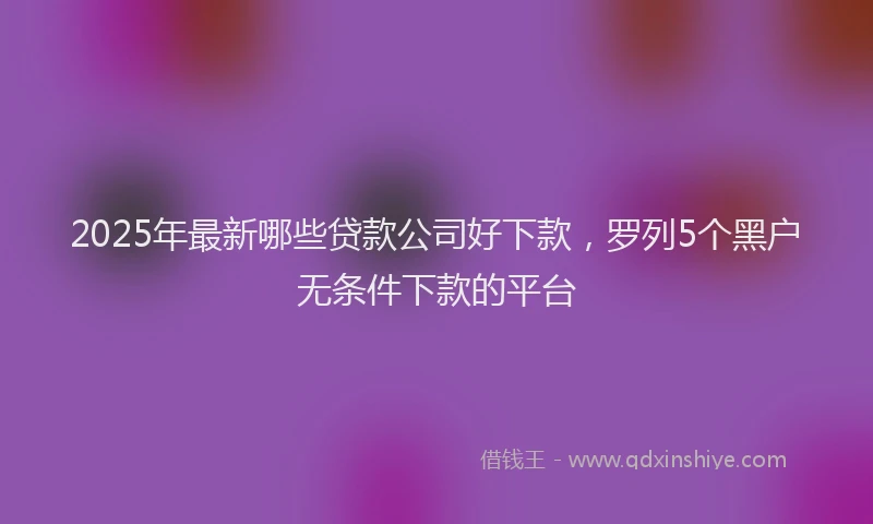 2025年最新哪些贷款公司好下款，罗列5个黑户无条件下款的平台