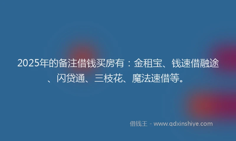2025年的备注借钱买房有：金租宝、钱速借融途、闪贷通、三枝花、魔法速借等。
