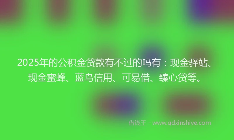 2025年的公积金贷款有不过的吗有：现金驿站、现金蜜蜂、蓝鸟信用、可易借、臻心贷等。