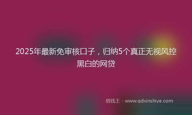 2025年最新免审核口子，归纳5个真正无视风控黑白的网贷