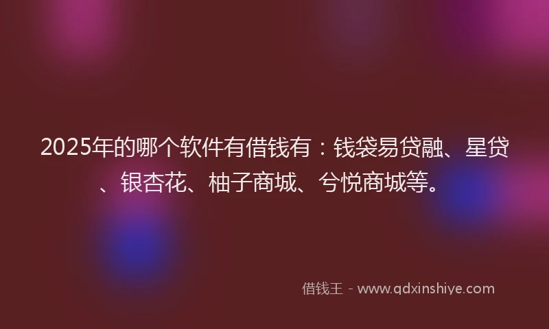 2025年的哪个软件有借钱有：钱袋易贷融、星贷、银杏花、柚子商城、兮悦商城等。