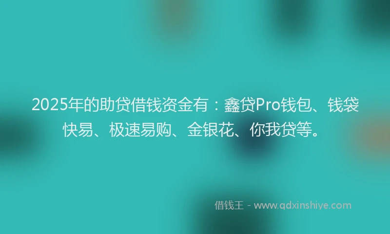 2025年的助贷借钱资金有：鑫贷Pro钱包、钱袋快易、极速易购、金银花、你我贷等。