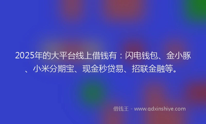 2025年的大平台线上借钱有：闪电钱包、金小豚、小米分期宝、现金秒贷易、招联金融等。