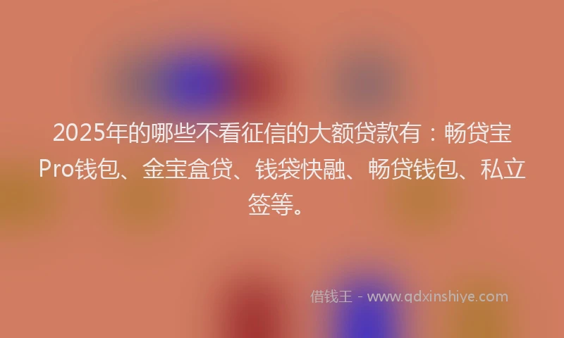 2025年的哪些不看征信的大额贷款有：畅贷宝Pro钱包、金宝盒贷、钱袋快融、畅贷钱包、私立签等。