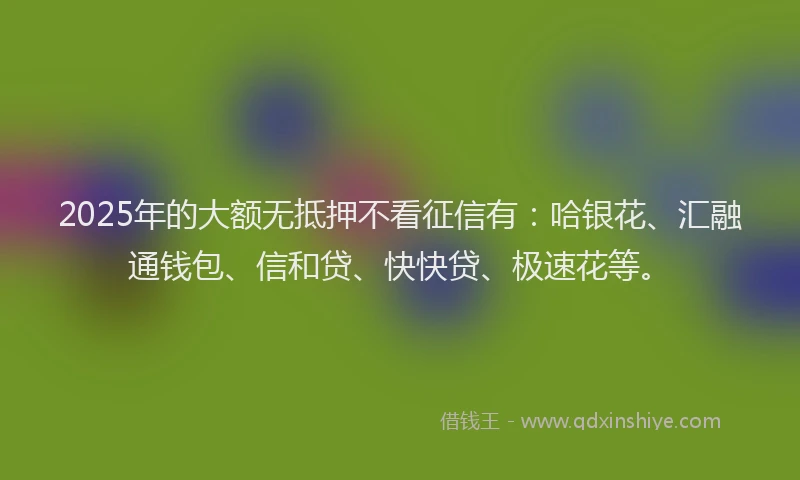 2025年的大额无抵押不看征信有：哈银花、汇融通钱包、信和贷、快快贷、极速花等。