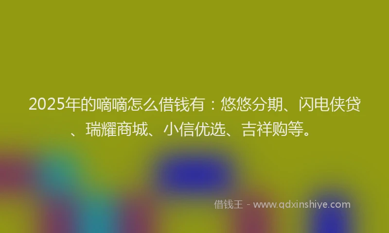 2025年的嘀嘀怎么借钱有：悠悠分期、闪电侠贷、瑞耀商城、小信优选、吉祥购等。
