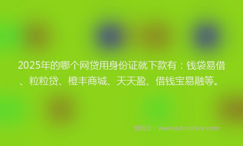2025年的哪个网贷用身份证就下款有：钱袋易借、粒粒贷、橙丰商城、天天盈、借钱宝易融等。