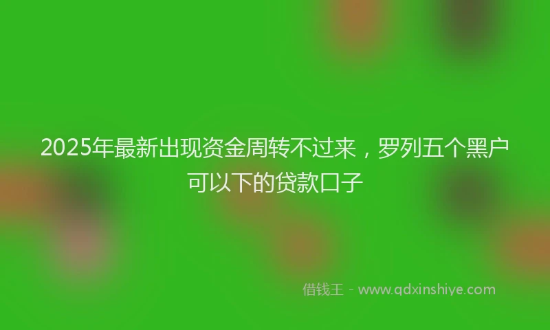 2025年最新出现资金周转不过来，罗列五个黑户可以下的贷款口子