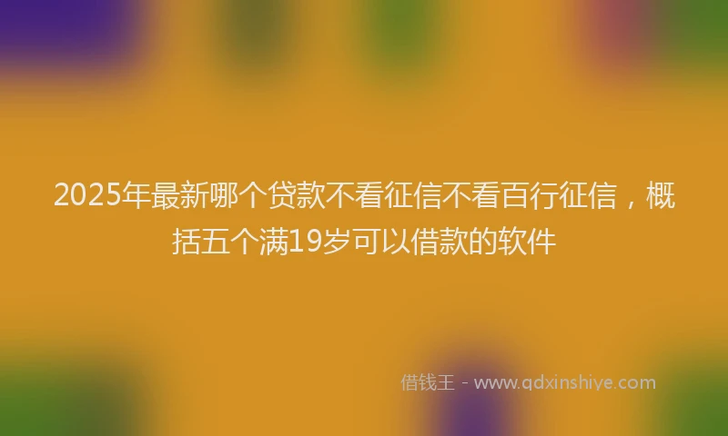 2025年最新哪个贷款不看征信不看百行征信，概括五个满19岁可以借款的软件