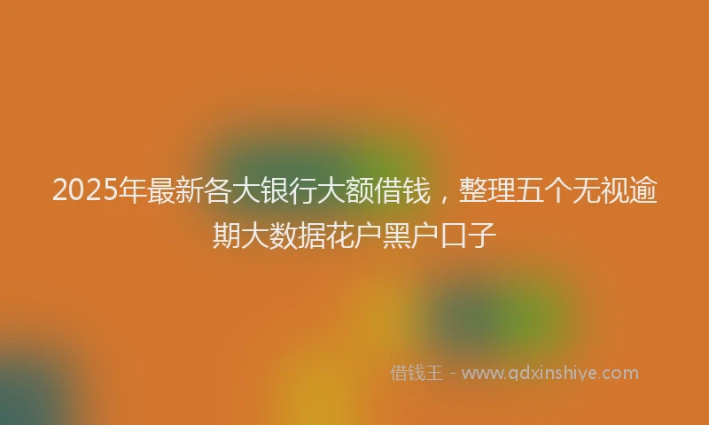 2025年最新各大银行大额借钱，整理五个无视逾期大数据花户黑户口子