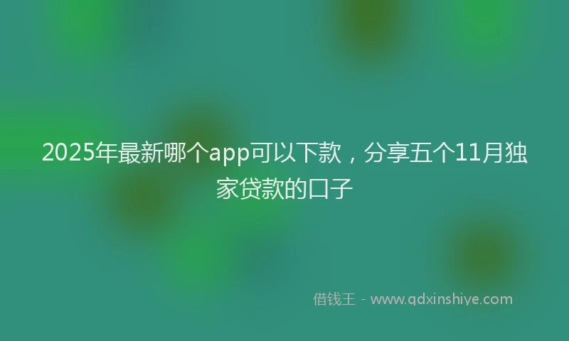 2025年最新哪个app可以下款，分享五个11月独家贷款的口子