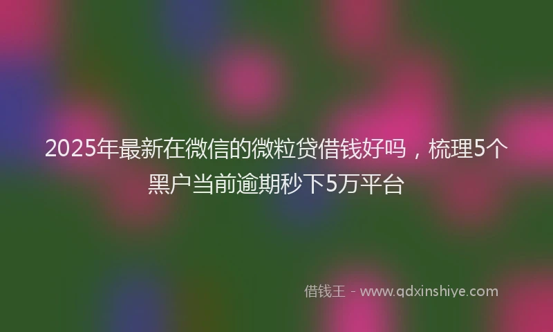 2025年最新在微信的微粒贷借钱好吗，梳理5个黑户当前逾期秒下5万平台
