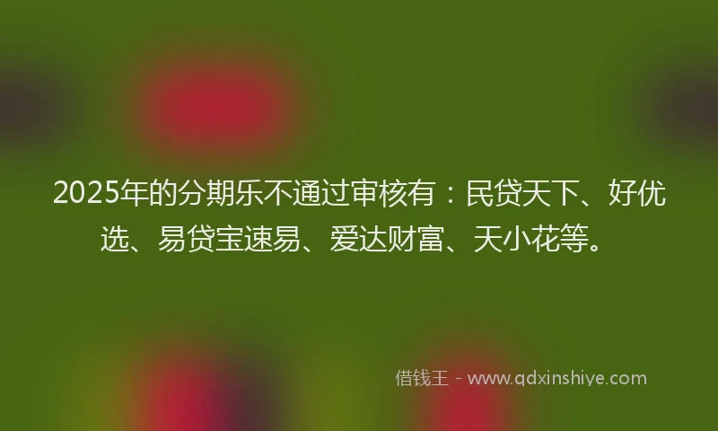 2025年的分期乐不通过审核有：民贷天下、好优选、易贷宝速易、爱达财富、天小花等。