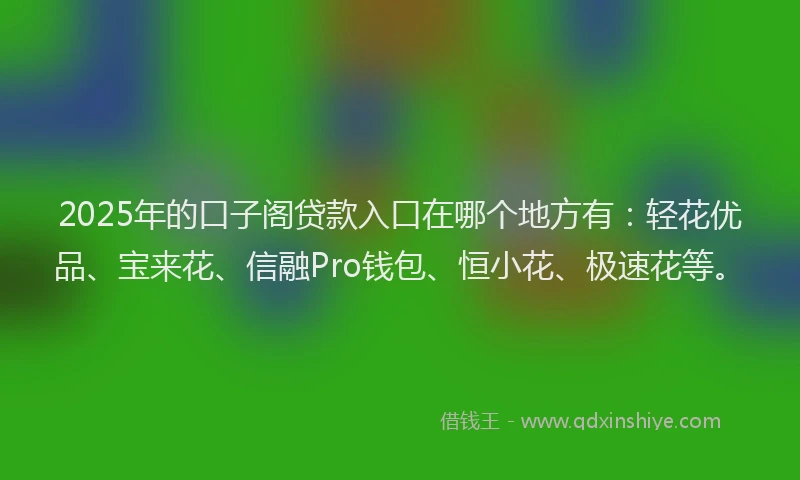 2025年的口子阁贷款入口在哪个地方有：轻花优品、宝来花、信融Pro钱包、恒小花、极速花等。