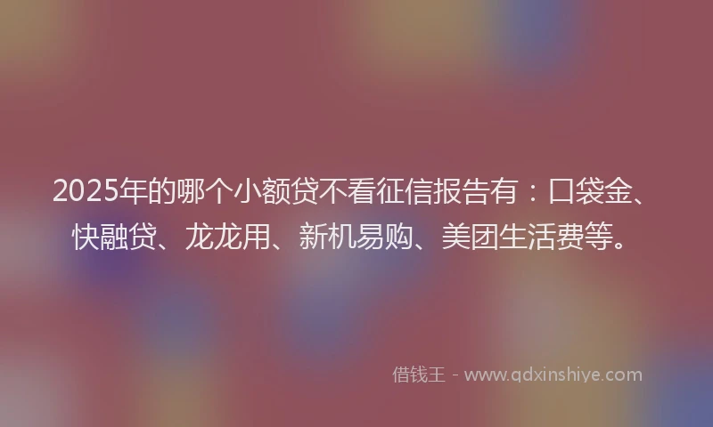 2025年的哪个小额贷不看征信报告有：口袋金、快融贷、龙龙用、新机易购、美团生活费等。