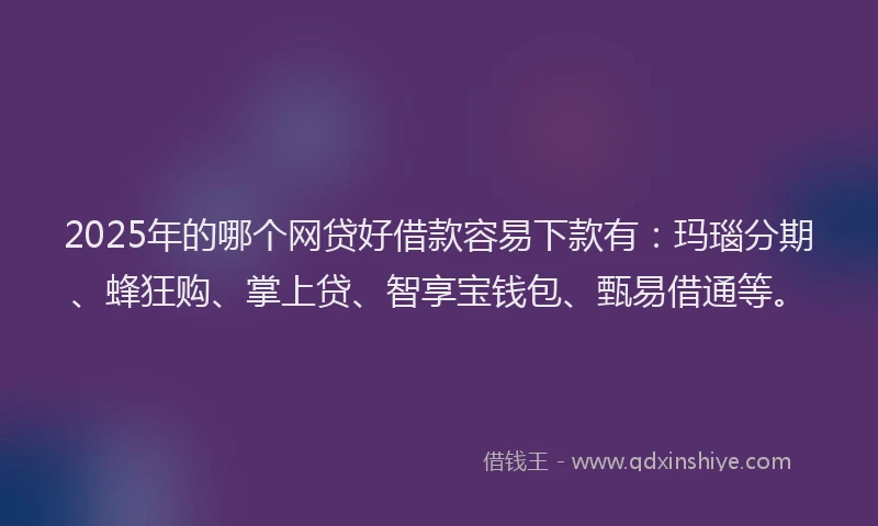 2025年的哪个网贷好借款容易下款有：玛瑙分期、蜂狂购、掌上贷、智享宝钱包、甄易借通等。