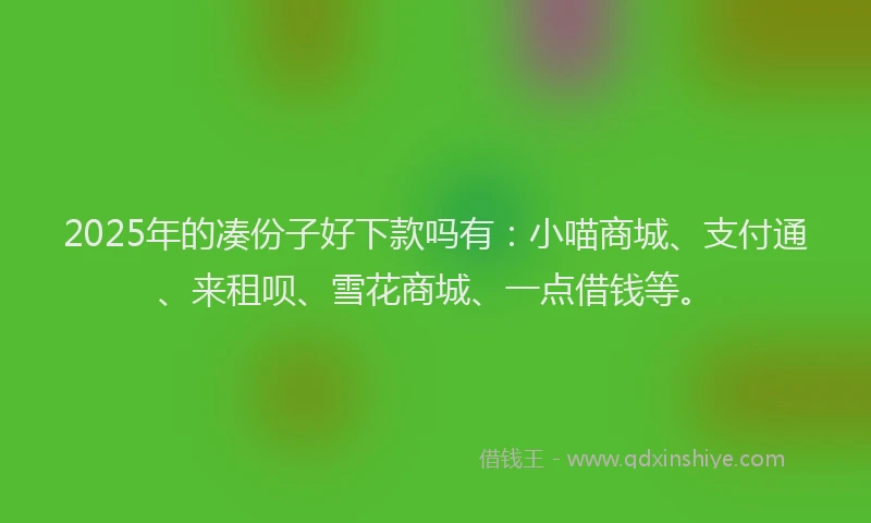 2025年的凑份子好下款吗有：小喵商城、支付通、来租呗、雪花商城、一点借钱等。
