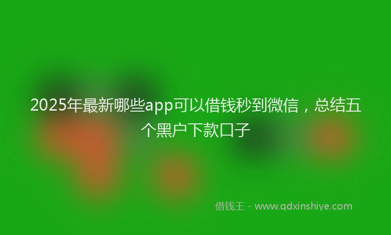 2025年最新哪些app可以借钱秒到微信，总结五个黑户下款口子