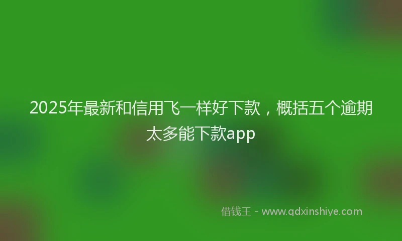 2025年最新和信用飞一样好下款，概括五个逾期太多能下款app