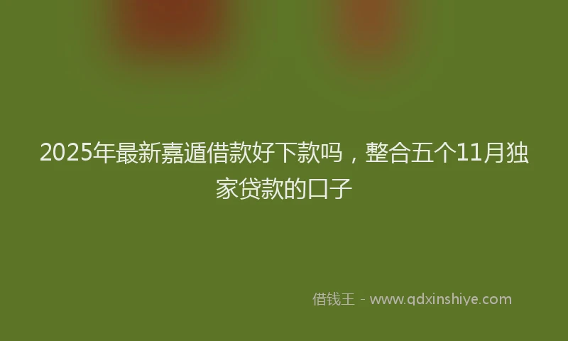 2025年最新嘉遁借款好下款吗，整合五个11月独家贷款的口子