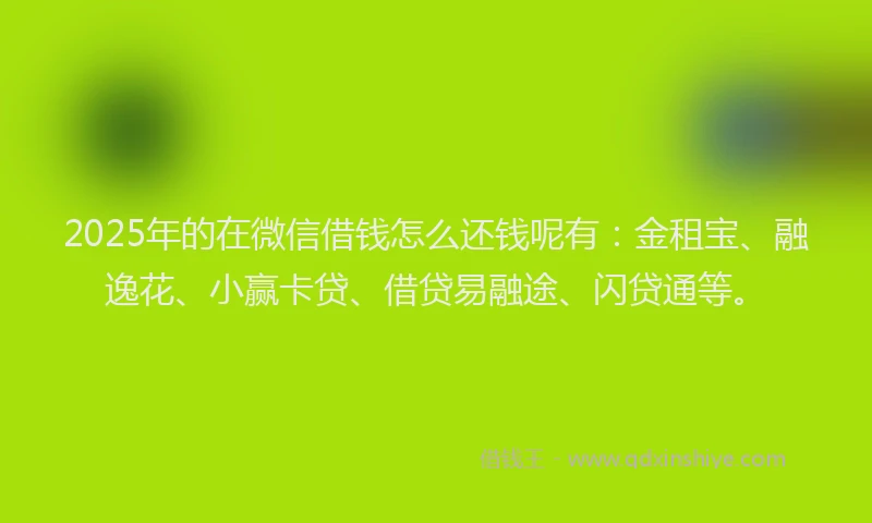 2025年的在微信借钱怎么还钱呢有：金租宝、融逸花、小赢卡贷、借贷易融途、闪贷通等。