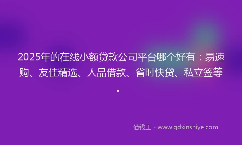 2025年的在线小额贷款公司平台哪个好有：易速购、友佳精选、人品借款、省时快贷、私立签等。