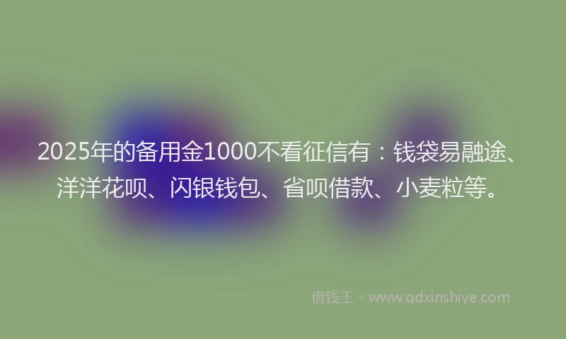 2025年的备用金1000不看征信有：钱袋易融途、洋洋花呗、闪银钱包、省呗借款、小麦粒等。