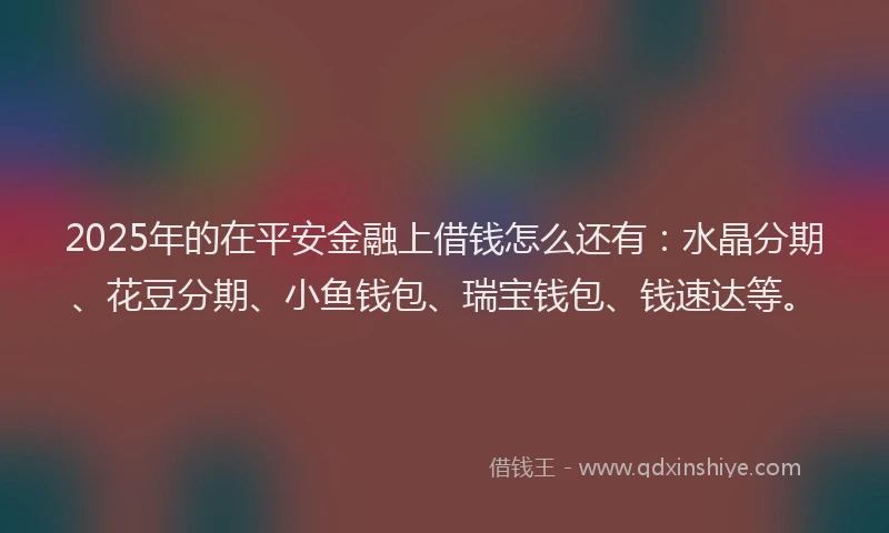 2025年的在平安金融上借钱怎么还有：水晶分期、花豆分期、小鱼钱包、瑞宝钱包、钱速达等。