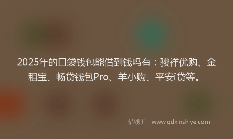 2025年的口袋钱包能借到钱吗有：骏祥优购、金租宝、畅贷钱包Pro、羊小购、平安i贷等。