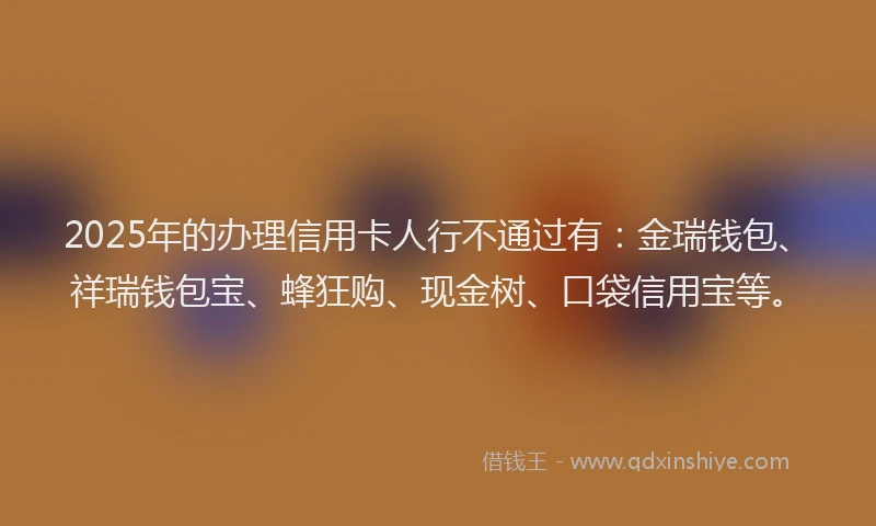 2025年的办理信用卡人行不通过有：金瑞钱包、祥瑞钱包宝、蜂狂购、现金树、口袋信用宝等。