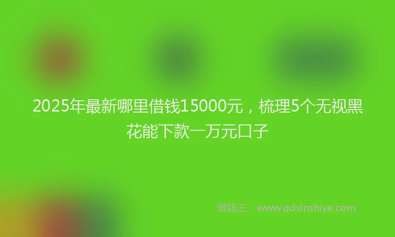 2025年最新哪里借钱15000元，梳理5个无视黑花能下款一万元口子