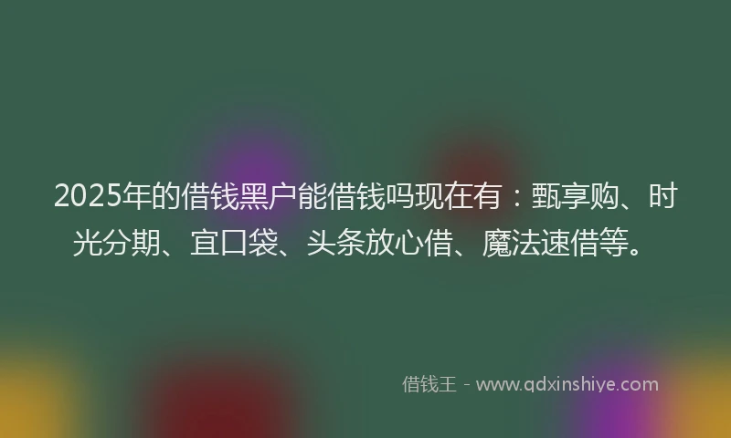 2025年的借钱黑户能借钱吗现在有：甄享购、时光分期、宜口袋、头条放心借、魔法速借等。