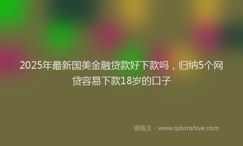 2025年最新国美金融贷款好下款吗，归纳5个网贷容易下款18岁的口子