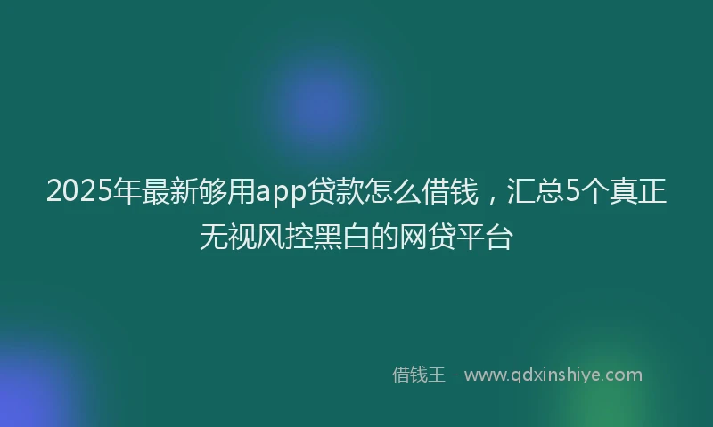 2025年最新够用app贷款怎么借钱，汇总5个真正无视风控黑白的网贷平台