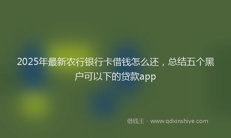 2025年最新农行银行卡借钱怎么还，总结五个黑户可以下的贷款app